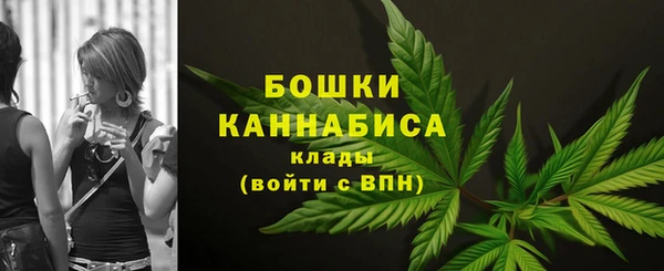 сатива Липки