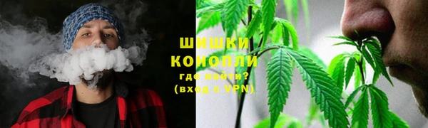 сатива Липки
