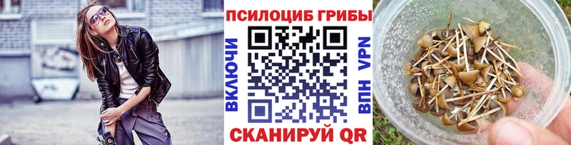 Купить закладки  Апшеронск  Псилоцибиновые грибы Psilocybine cubensis 